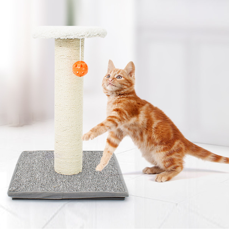cat scratcher