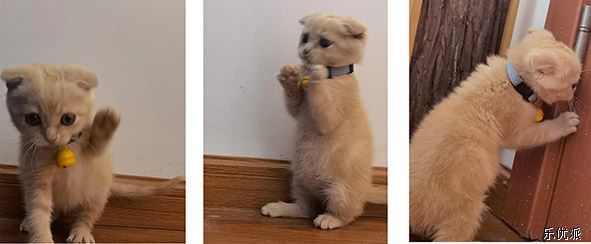 Cute but unable to raise cute little ones